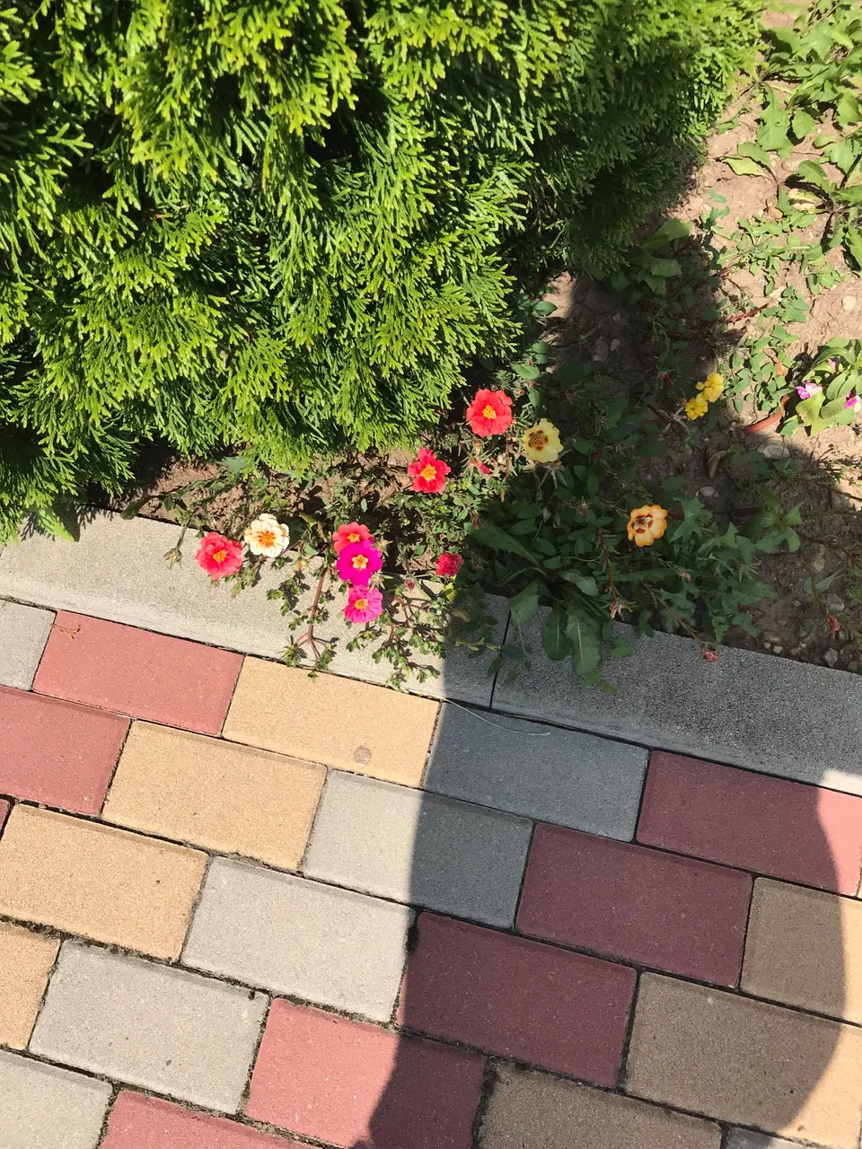 37733341_1725416507566128_4838915579664400384_n.jpg