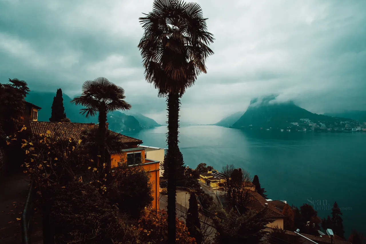 Sean_Gold_November 10, 2018_56697-WebExport.jpg