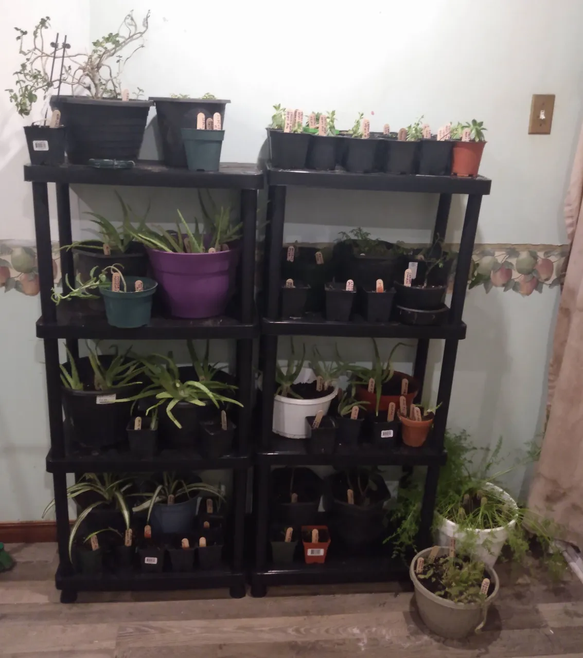 Indoor Garden 1.jpg