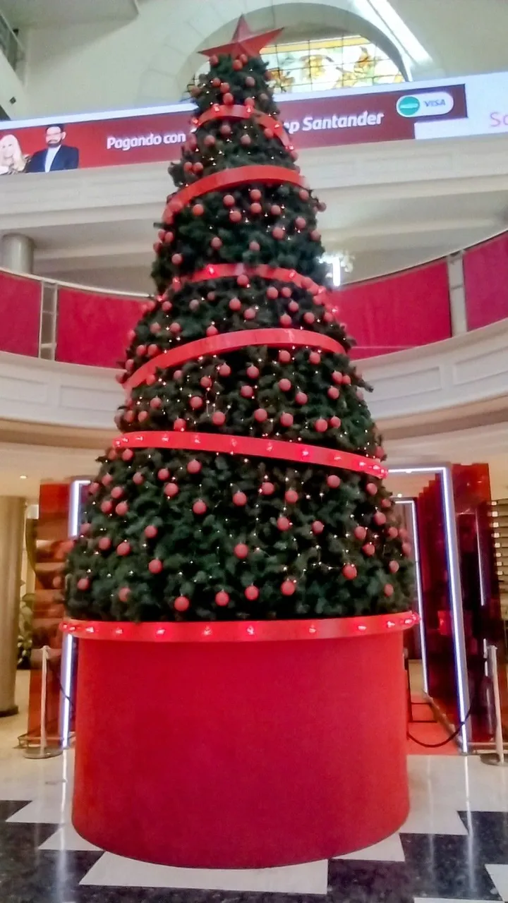 IMG_20241228_150325208_HDR~2.jpg