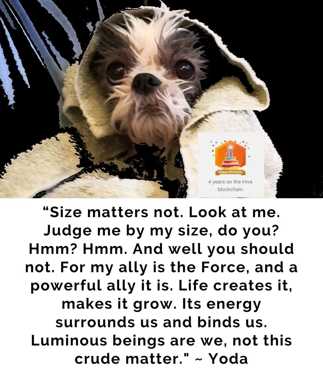 MollyYoda89723476456.jpg