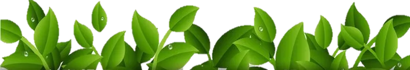 hojitas.png