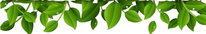 hojas_alreves-removebg-preview.png