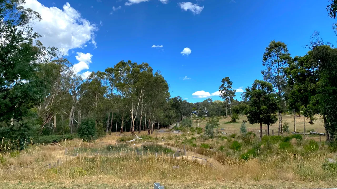 PADDOCKS#1.png