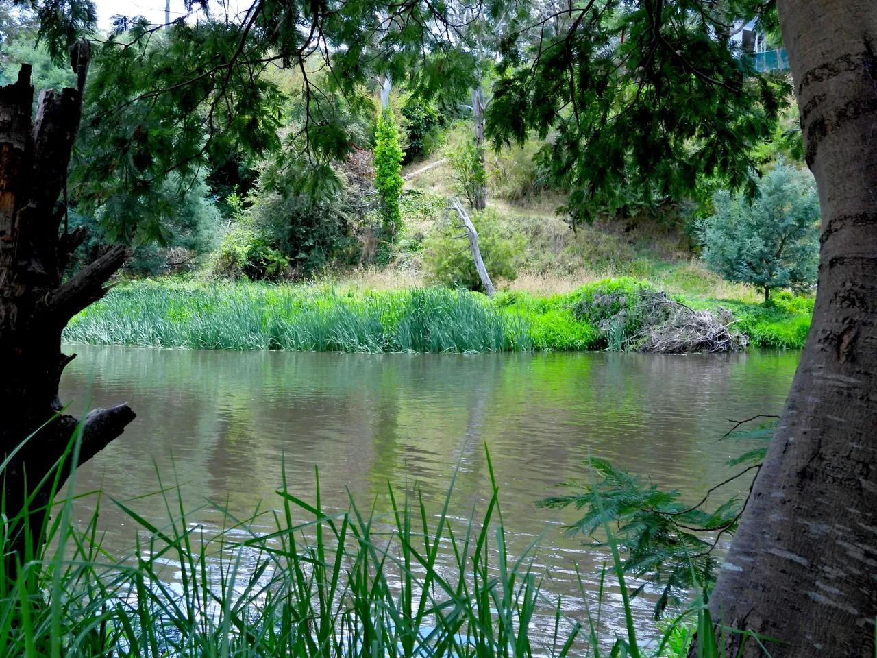 RIVER BOKEH 32.png