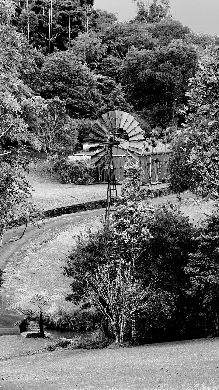 b&w- windmill.jpg