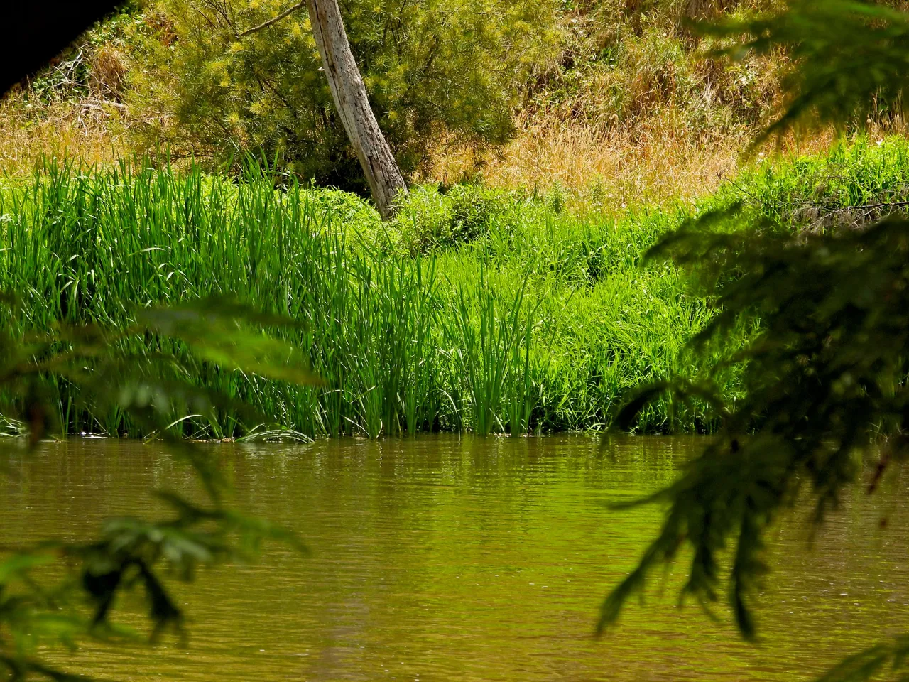 RIVER BOKEH #1.png