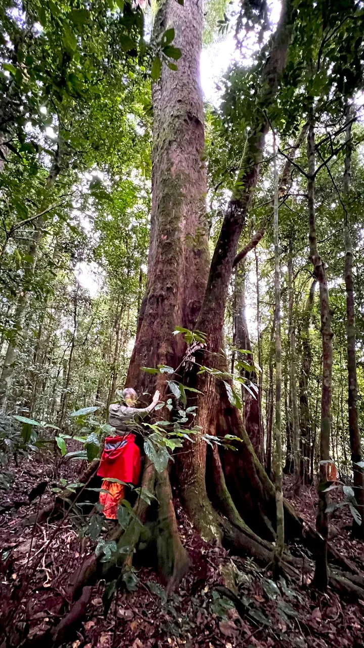 ANNIE HUGGING TREE.jpg
