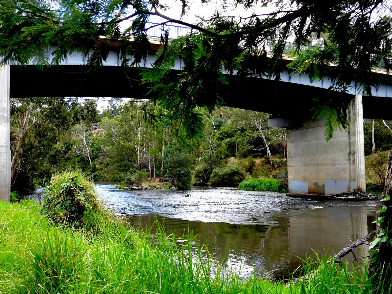 RIVER BRIDGE #1.png