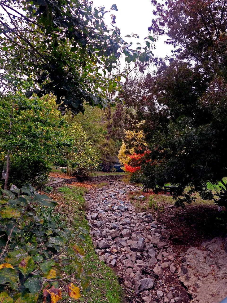 MY CREEK.png
