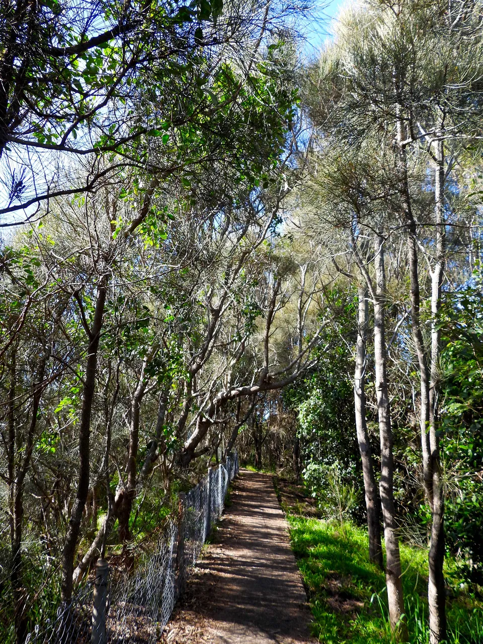 path.JPG