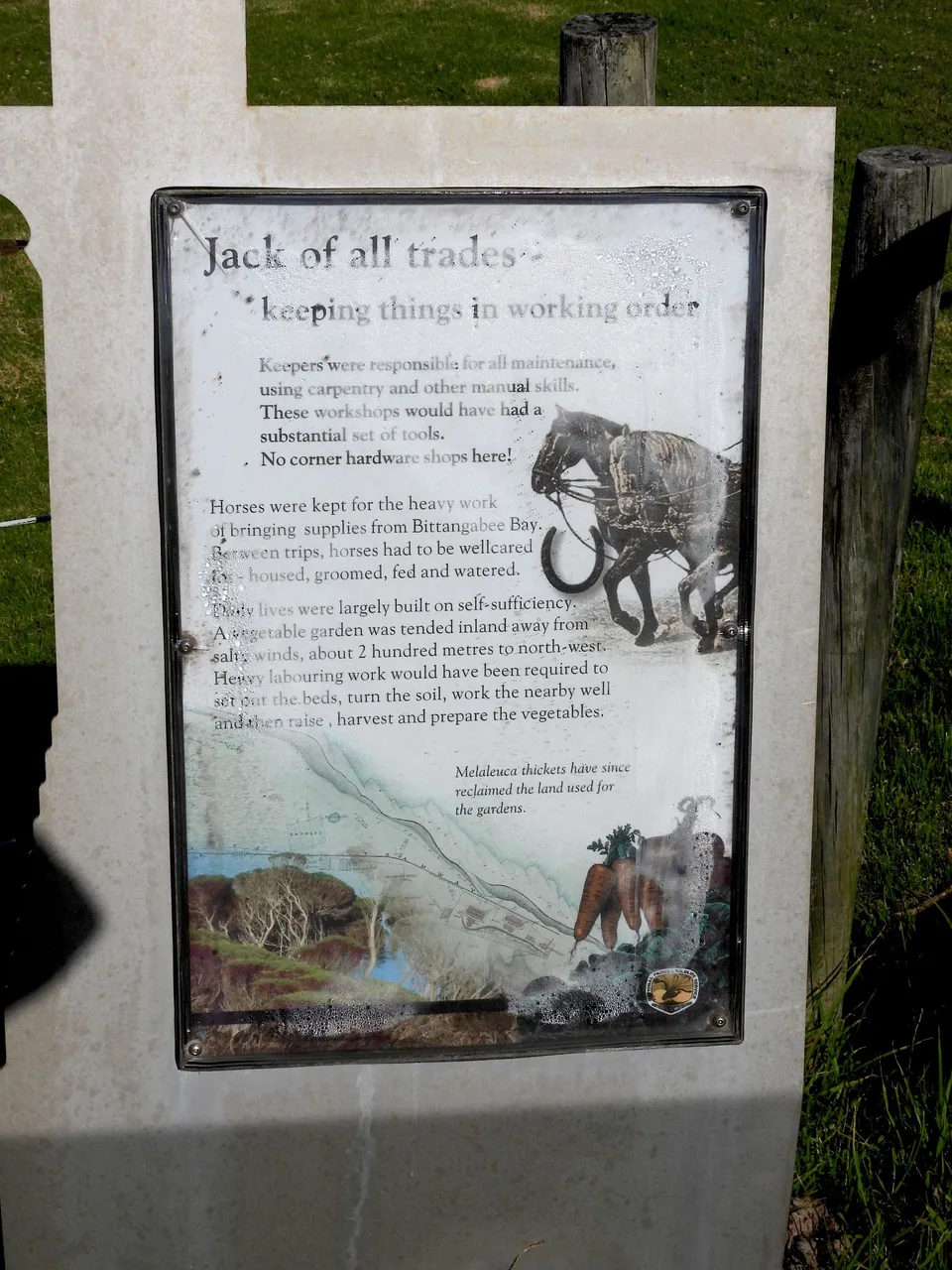 DSCN1029.JPG