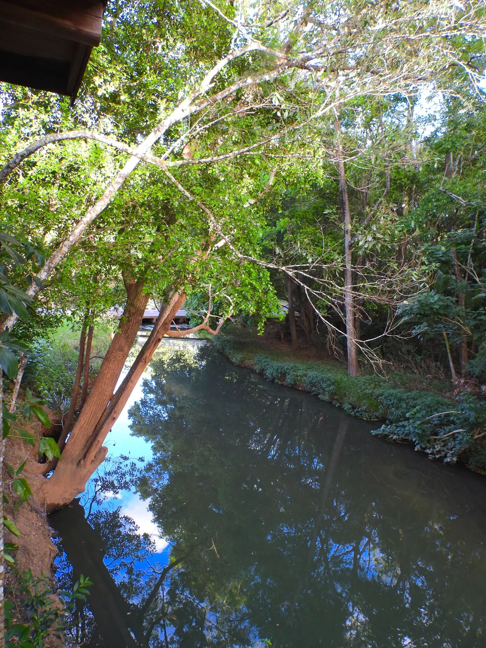 creek.JPG