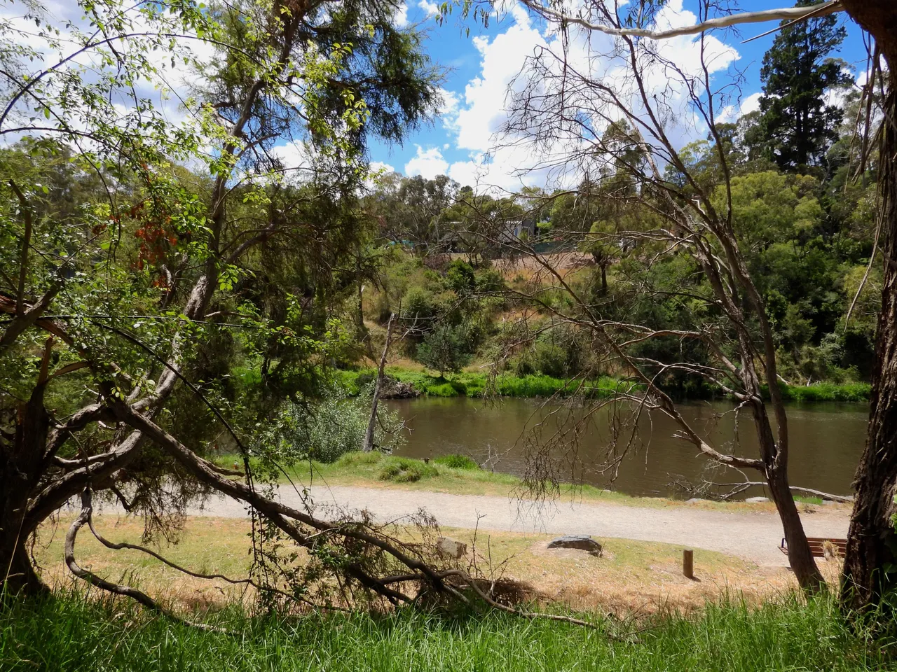 RIVER #1.png