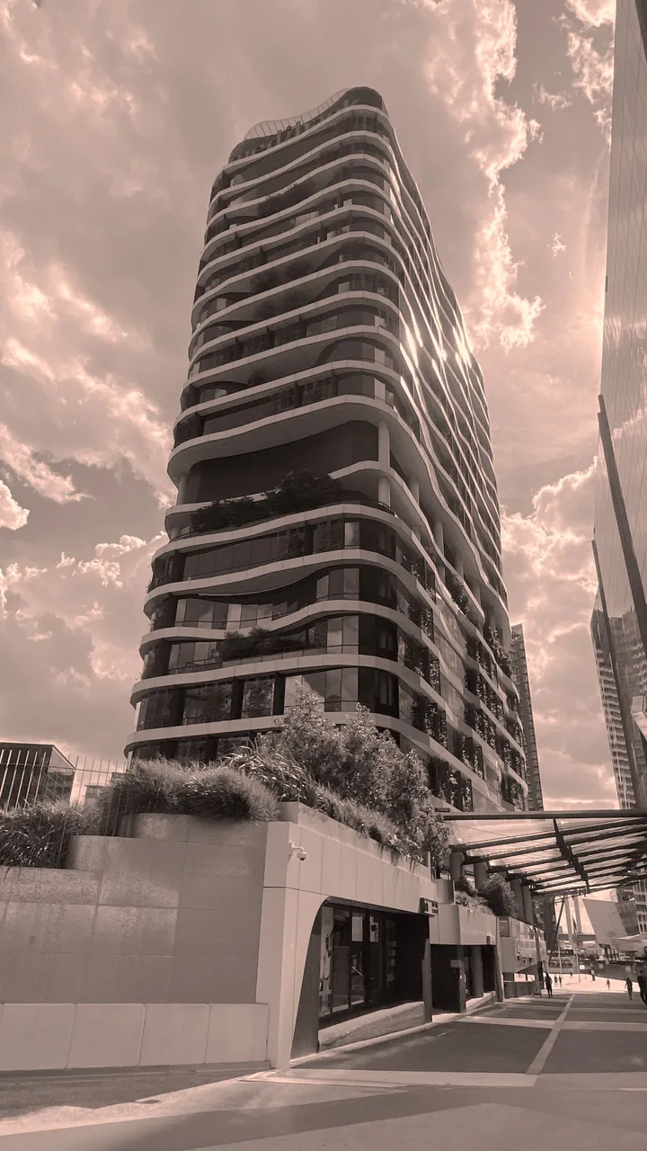 D-ARCHI1.jpg