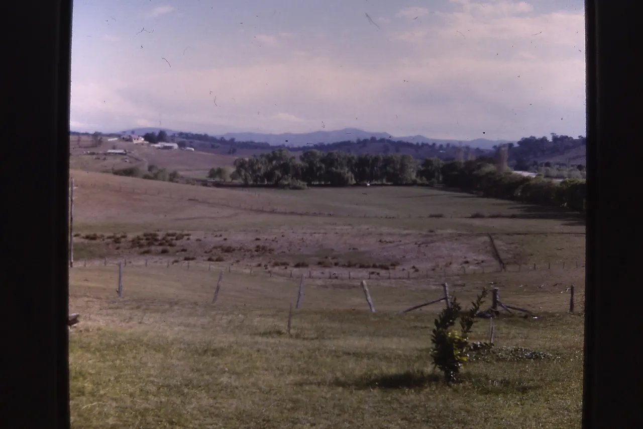 DEAD DRY SWAMP IN BACK PADDOCK- NO TREES.JPG