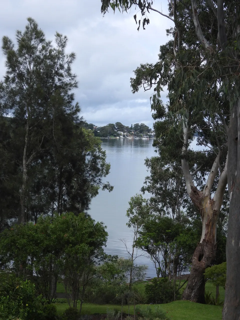 DSCN0047.JPG