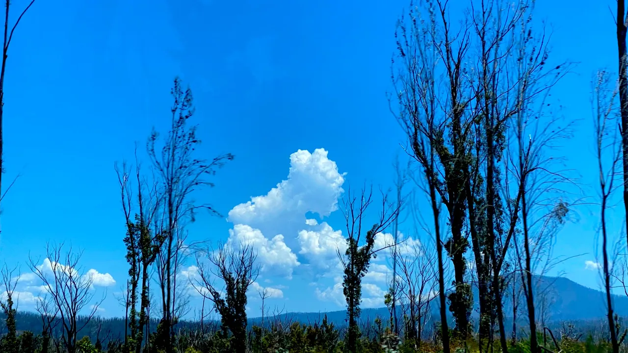 IMG_4750.png
