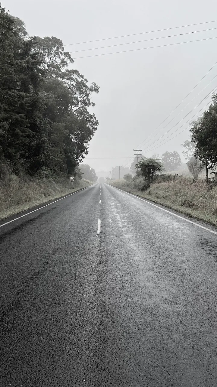 ROAD LEFT.jpg