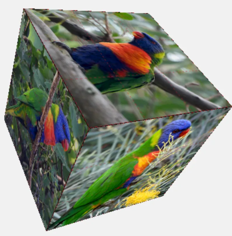 rainbow3.png