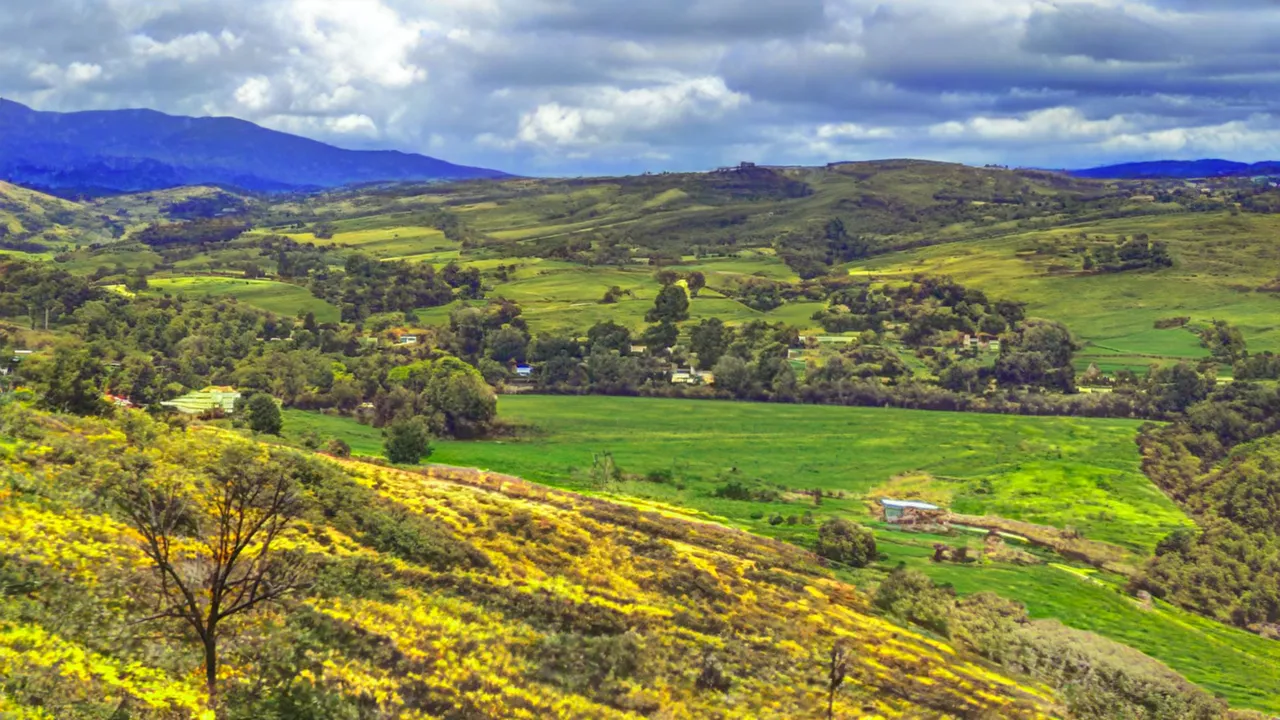 BUCHAN RIVER LANDSCAPE-NEURAL PAINTING.png