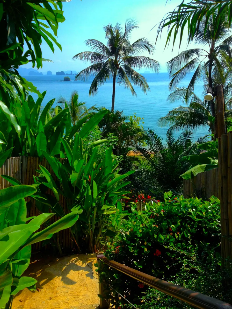 PALM TREE SCENE FOREGROUND.JPG