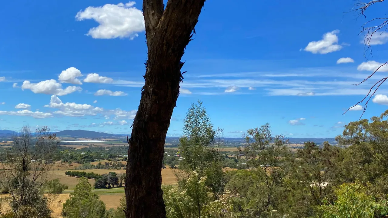 HIGH VIEW #2.png