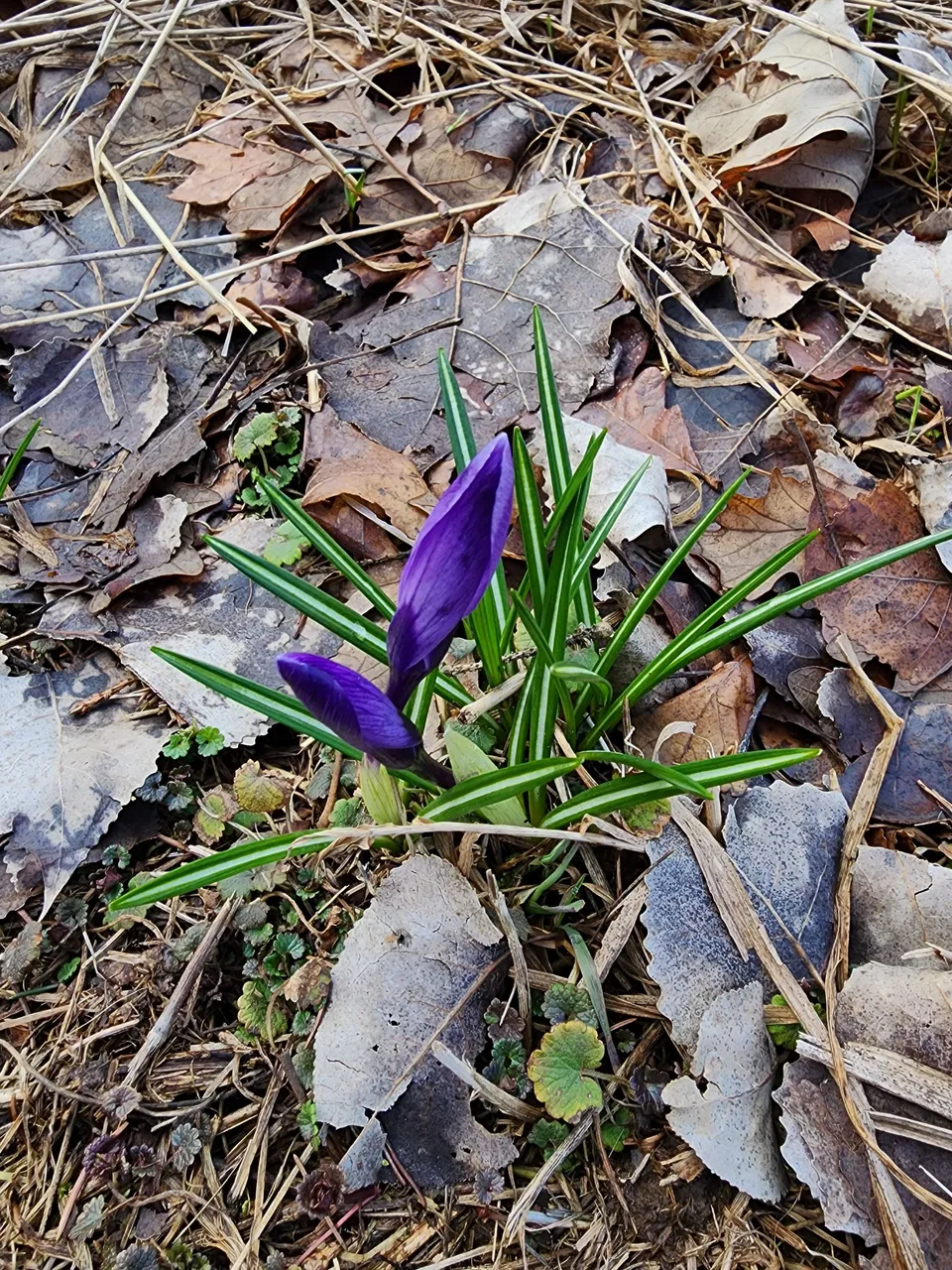 20230402_123911.jpg