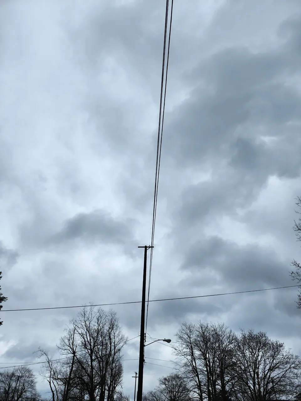 20230401_131625.jpg