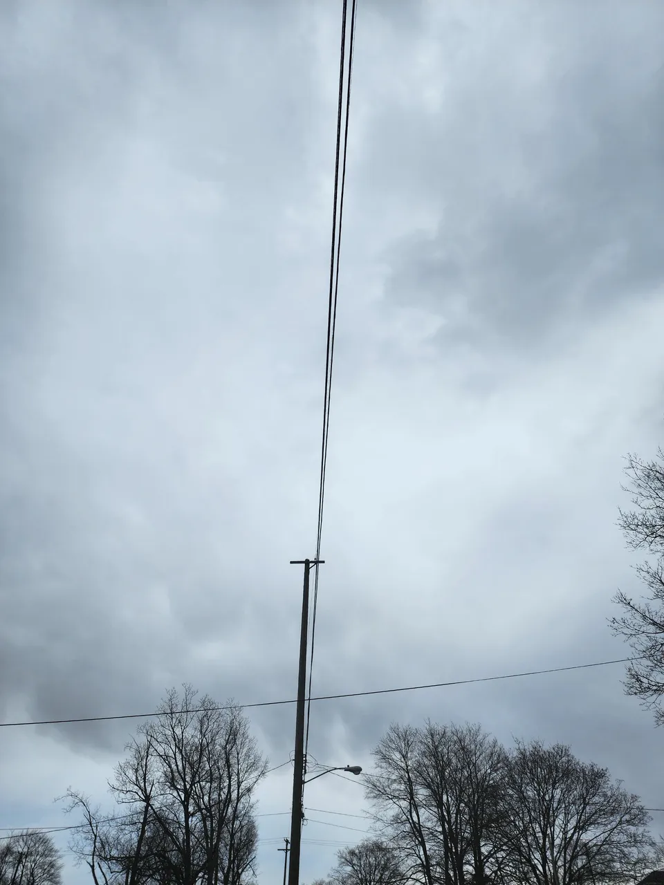 20230403_124237.jpg