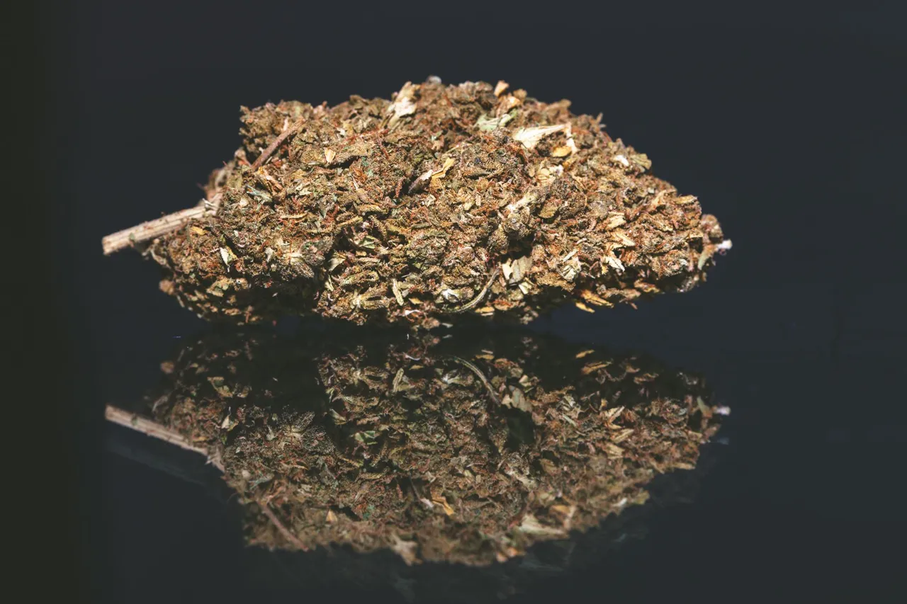 bluecheese-9563.jpg
