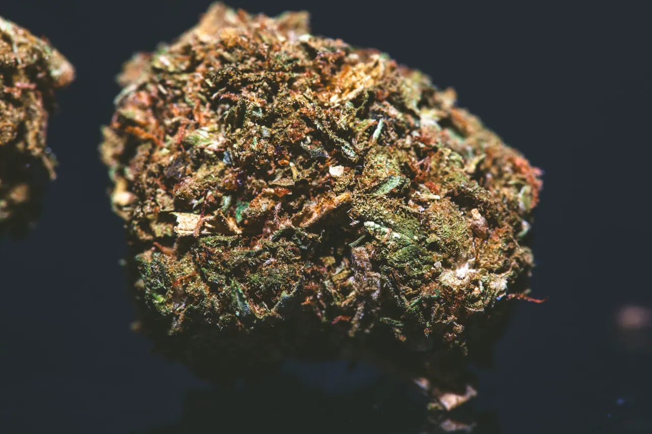 bluecheese-9568.jpg