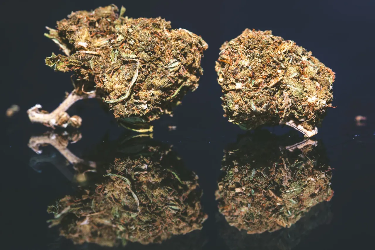 bluecheese-9567.jpg