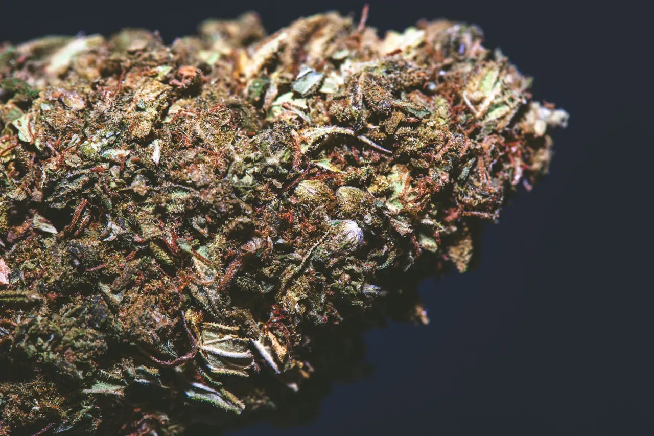 bluecheese-9565.jpg