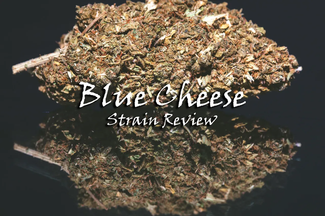 bluecheese-9562.jpg