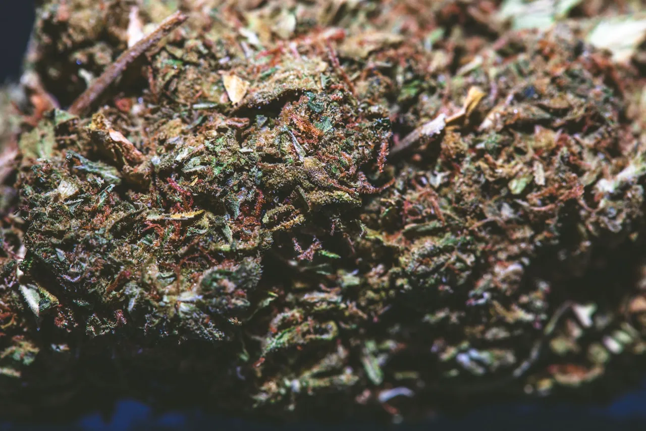 bluecheese-9564.jpg