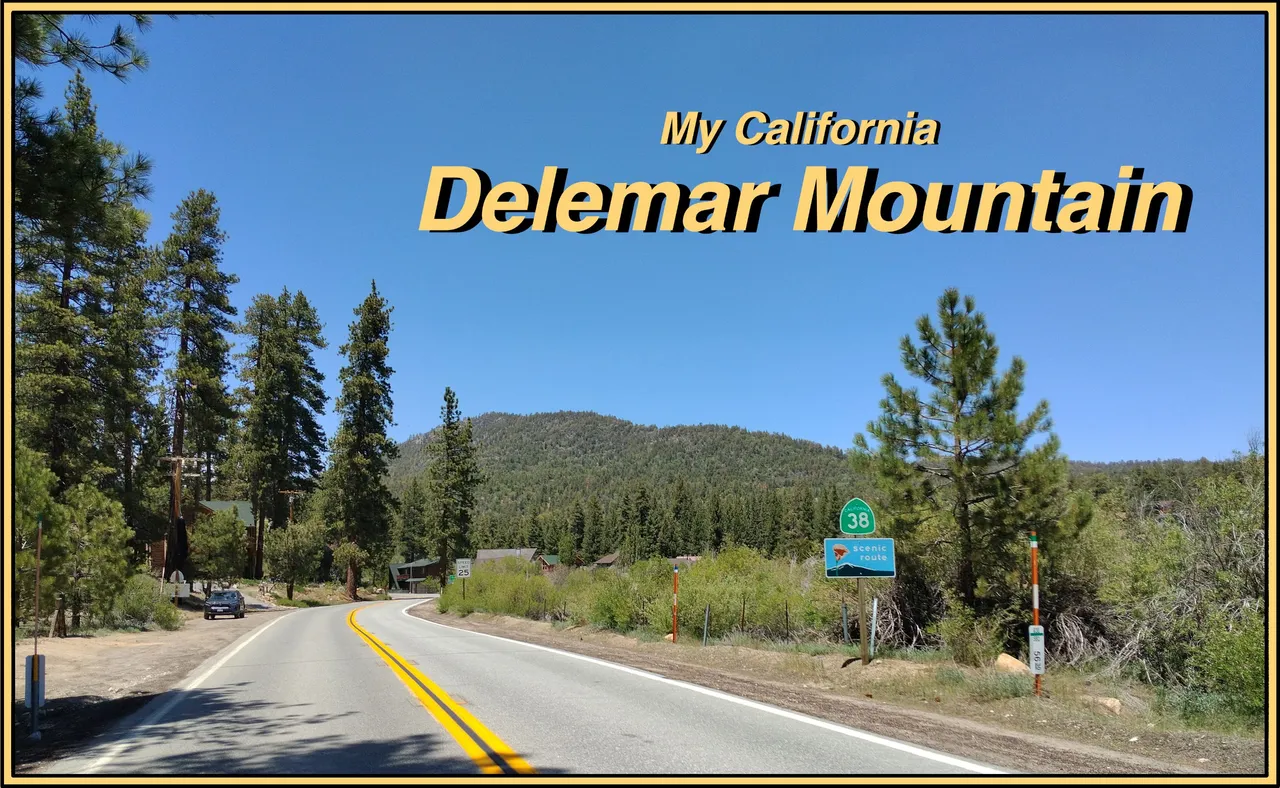 Delemar mtn cover.jpg