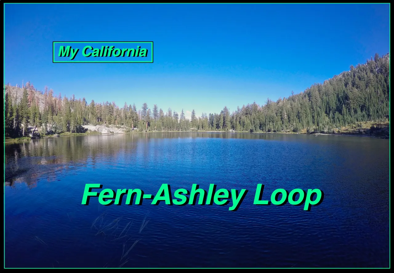 Fern-Ashley cover.jpg