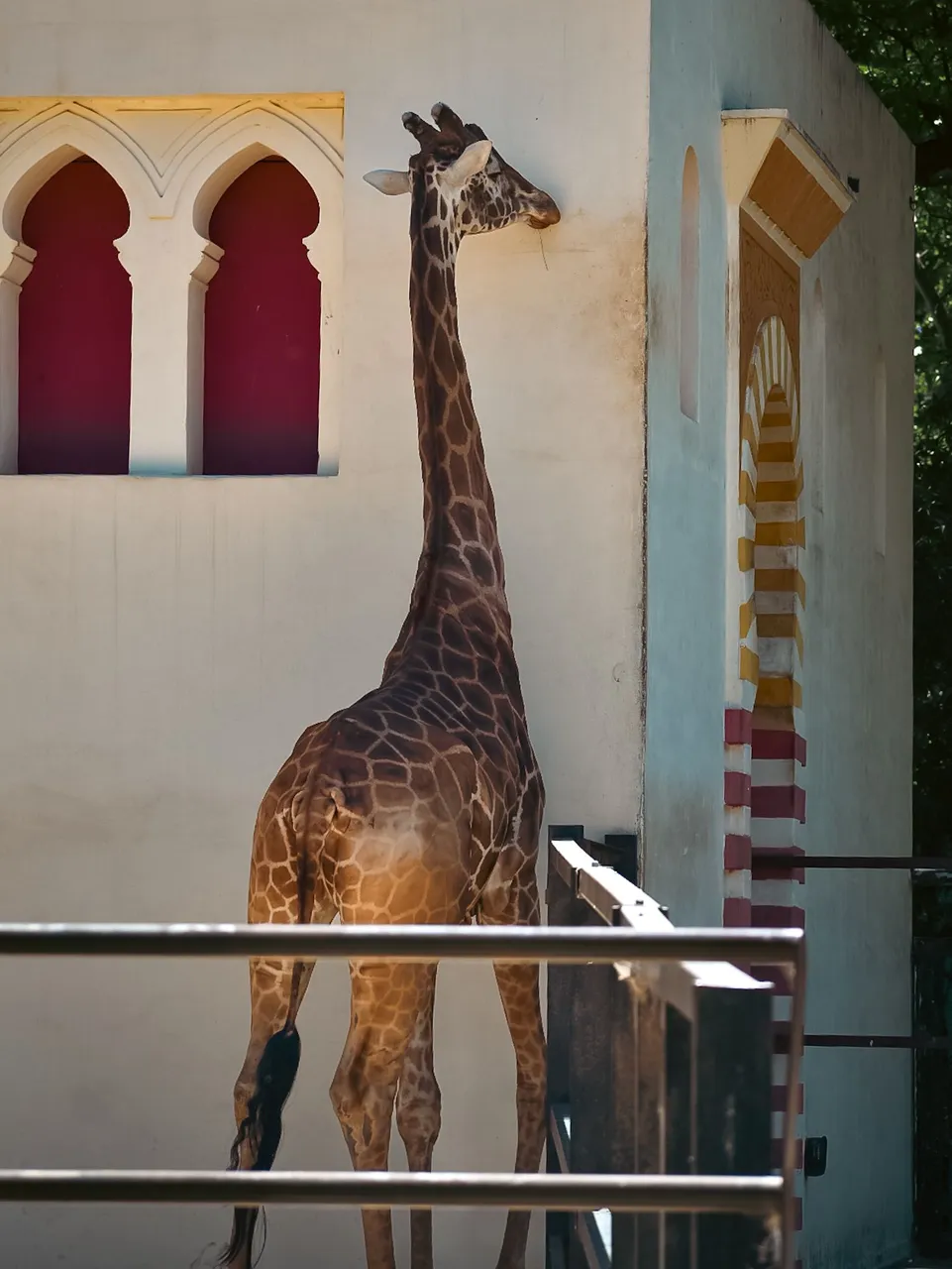 DSC_0789.jpg