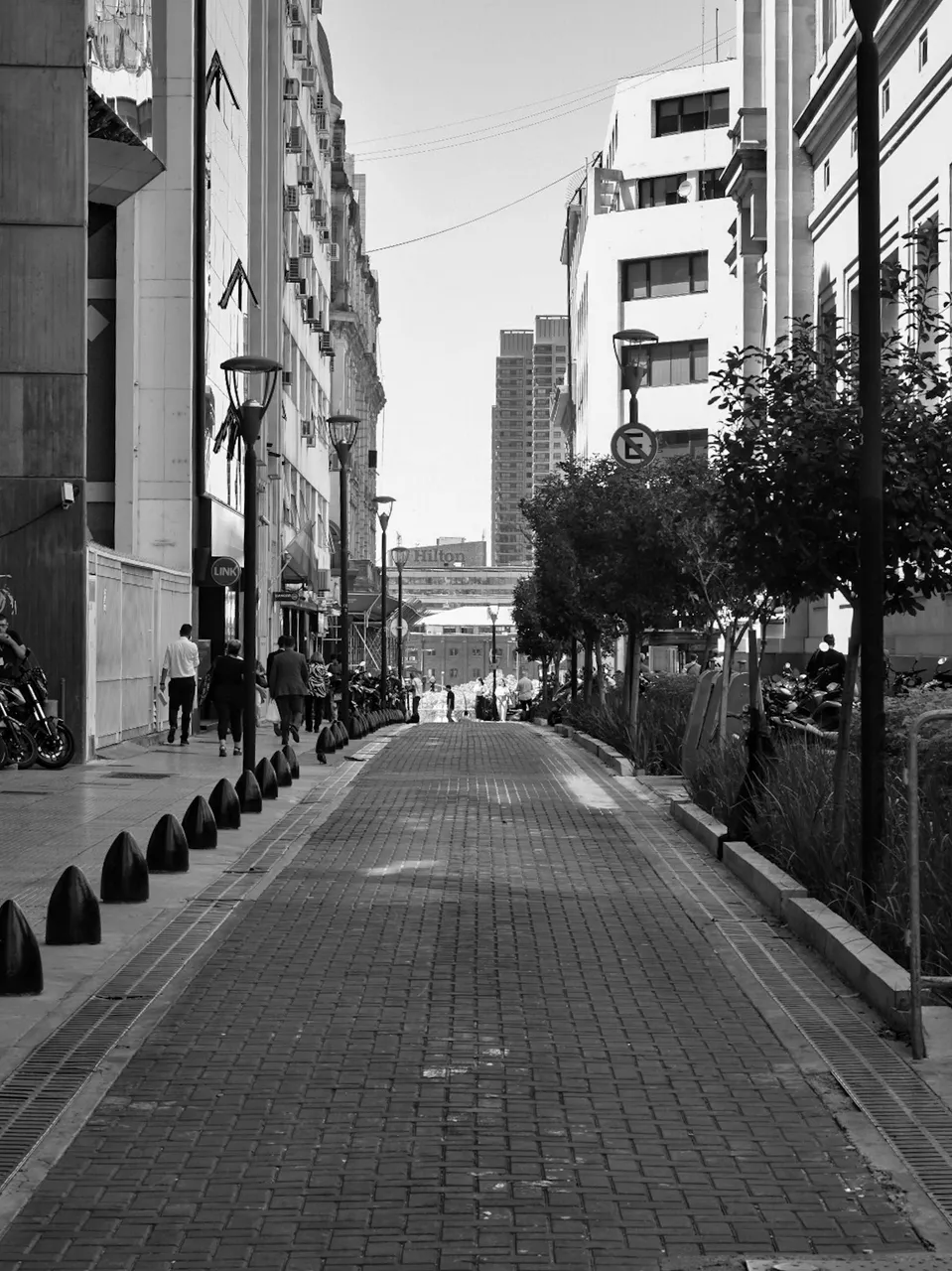 DSC_0176_2.jpg