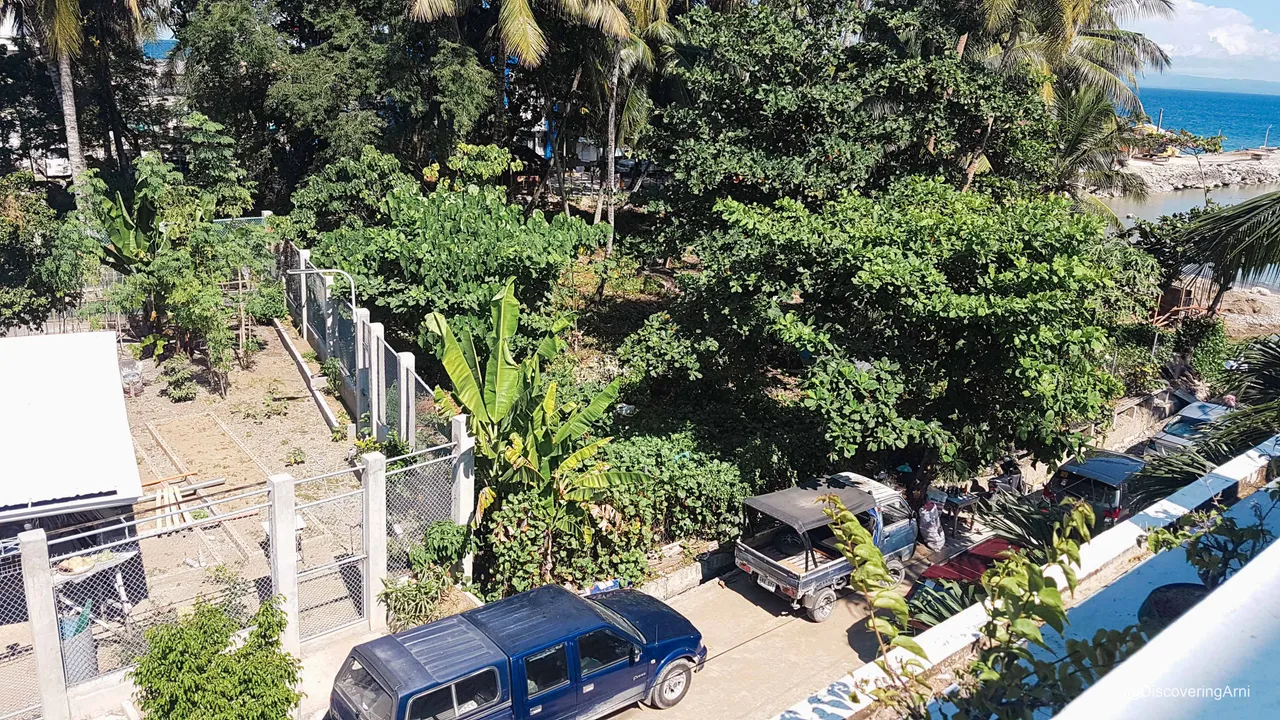 Before photo of the fenced garden taken in 2018