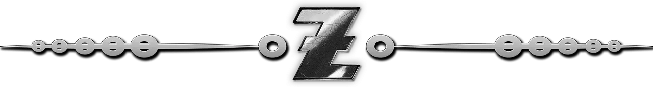 separador de holozing blanco y negro.png