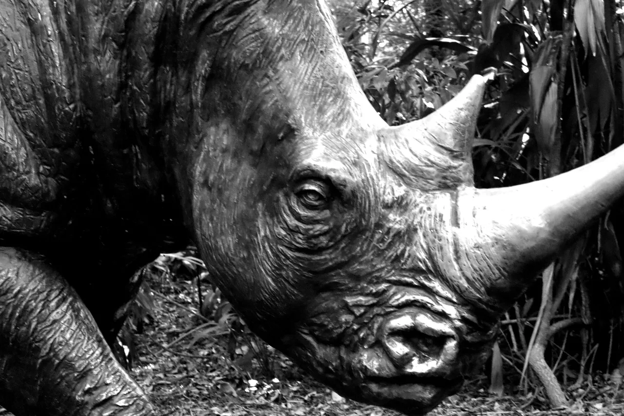 animal_bw_1.jpg