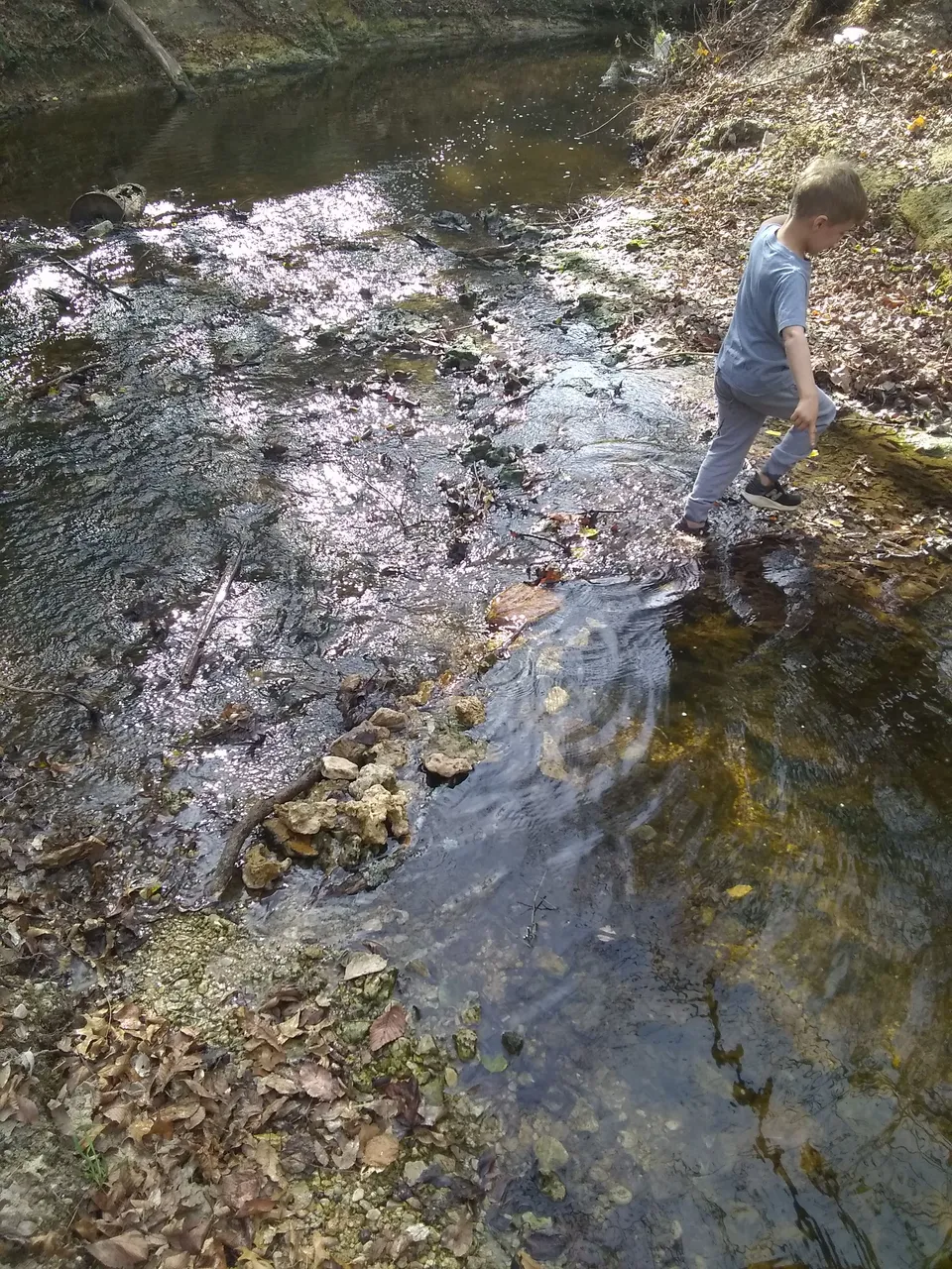 IMG_20211225_112329616.jpg