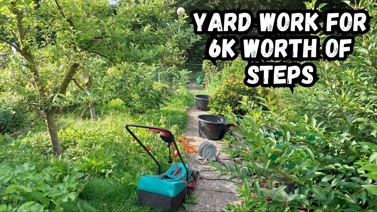 Yard Work For 6k Worth Of Steps.jpg