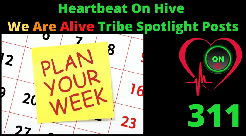 Heartbeat On Hive spotlight post311.png