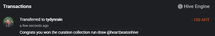 curationcollectionrunwinnertydynrain270725.PNG