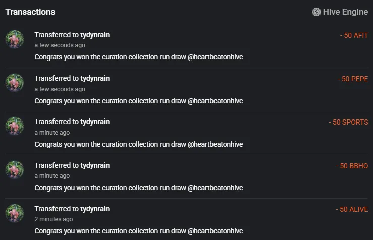 curationcollectionrunwinnertydynrain300725.PNG