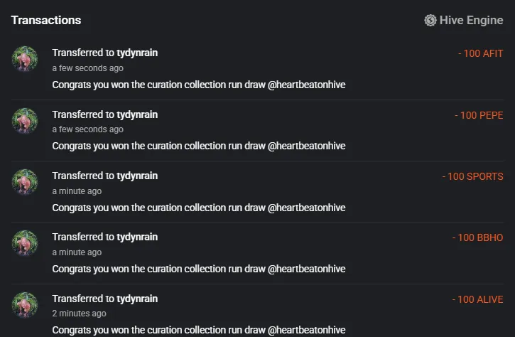 curationcollectionrunwinnertydynrain010825.PNG