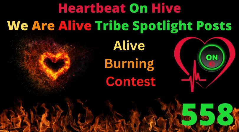 Heartbeat On Hive spotlight post558.png